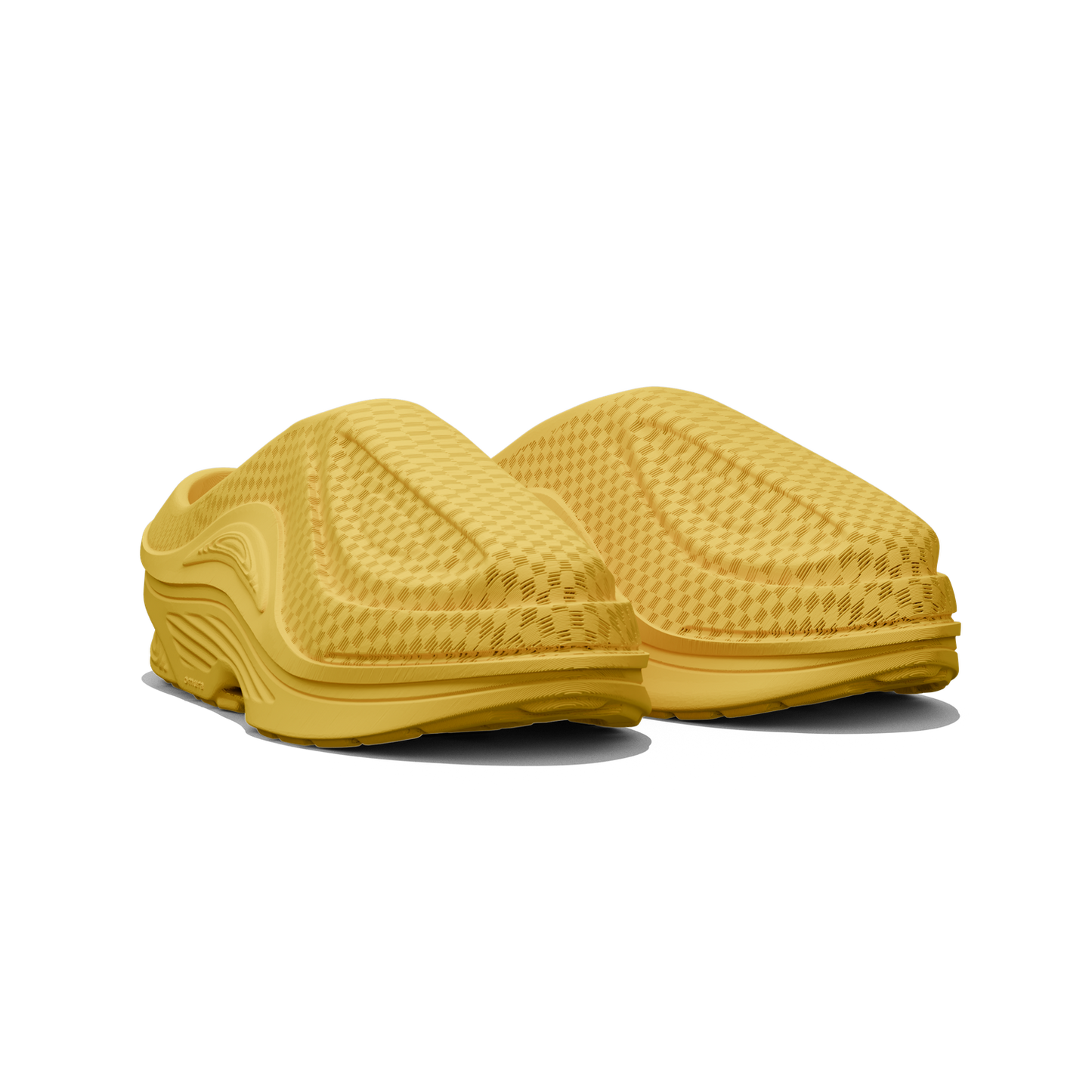 FOSSIL