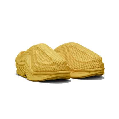 FOSSIL